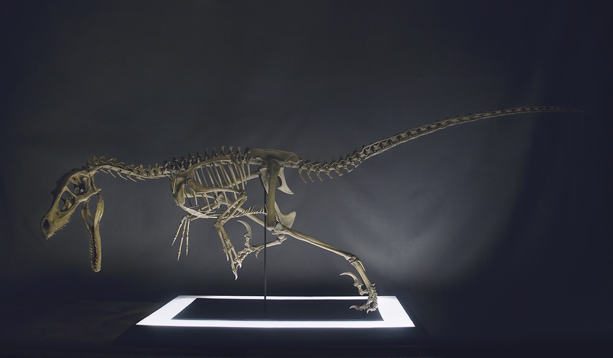 Impression dinosaure