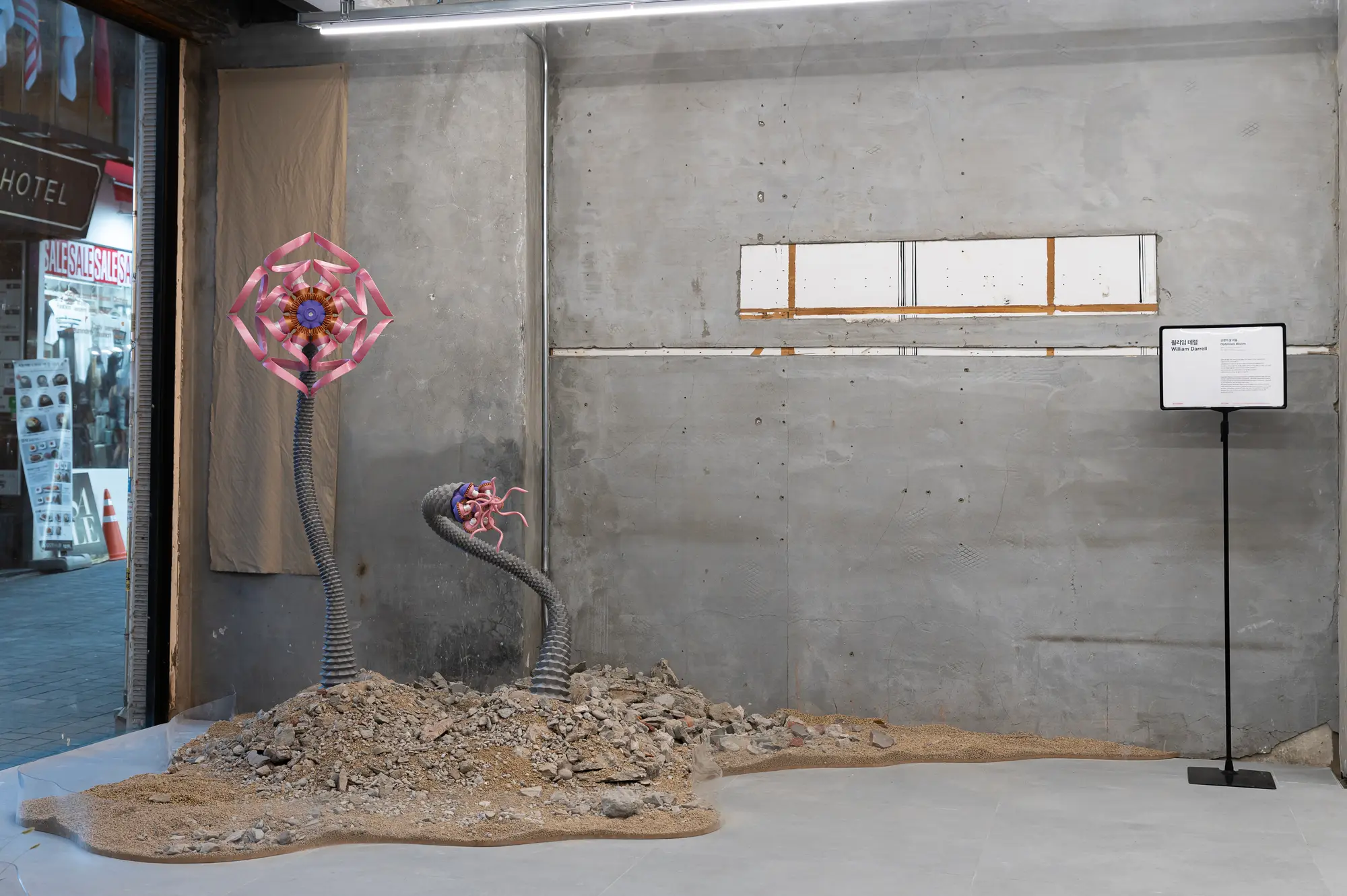 Installation de William Darrell à Gapado AiR